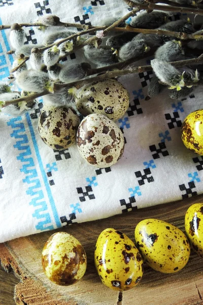 Ovos de codorniz e salgueiro — Fotografia de Stock