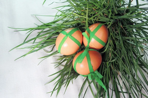 Куриные яйца и зеленая трава — стоковое фото