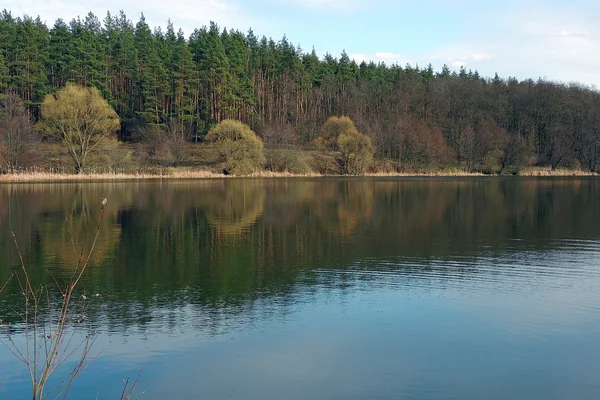 La foresta e la sua riflessione sull'acqua — Foto Stock