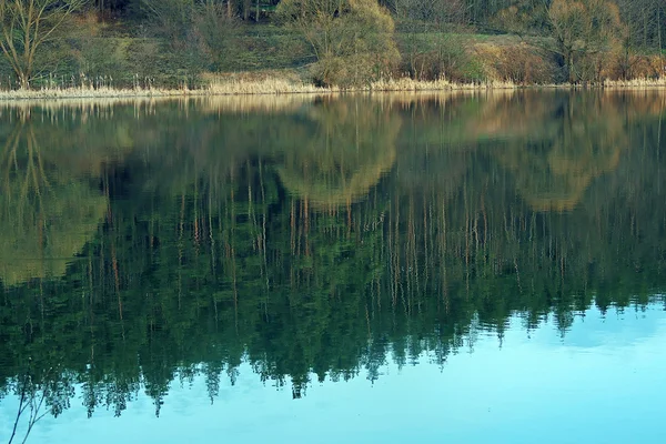 Het bos en de reflectie op het water — Stockfoto