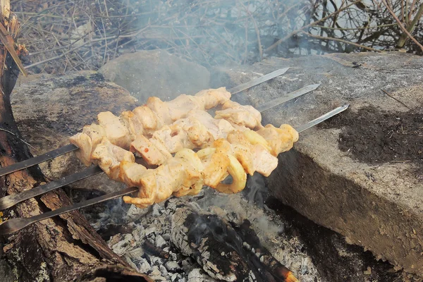 Shashlik cru sur une brochette — Photo