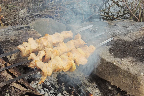 Shashlik cru sur une brochette — Photo