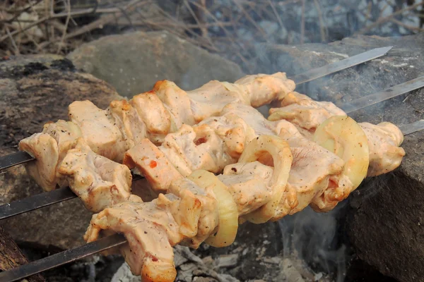 Shashlik crudo su uno spiedo — Foto Stock