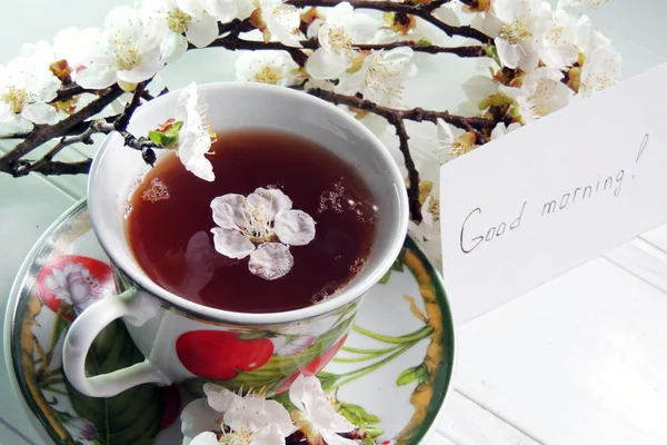 Чай, цветущая абрикосовая ветка — стоковое фото
