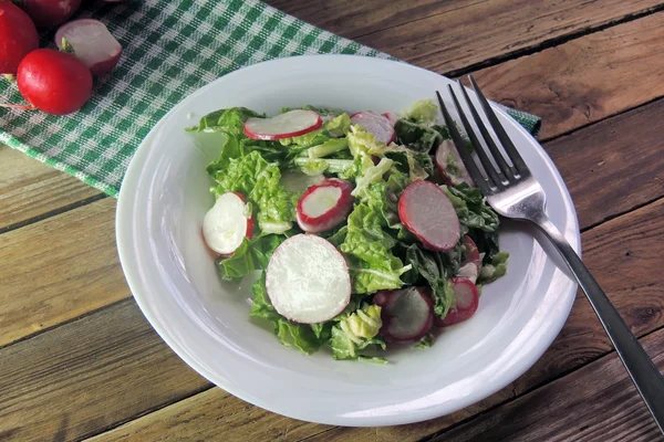 Frischer Salat mit Kohl und Rettich — Stockfoto