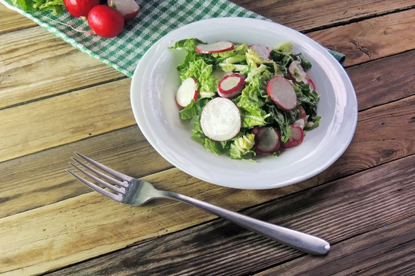 Frischer Salat mit Kohl und Rettich — Stockfoto