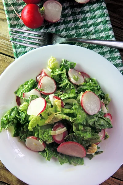 Frischer Salat mit Kohl und Rettich — Stockfoto