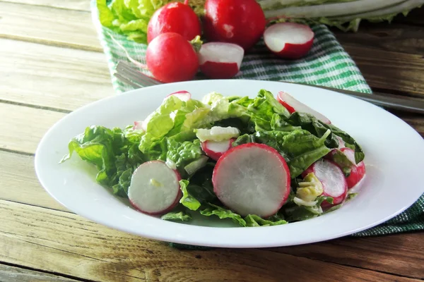 Frisse salade met kool en radijs — Stockfoto