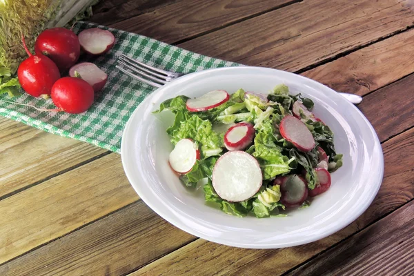 Frischer Salat mit Kohl und Rettich — Stockfoto