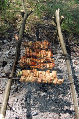 bir şiş üzerinde ham kebab