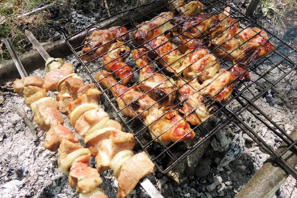 Shashlik crudo su uno spiedo — Foto Stock