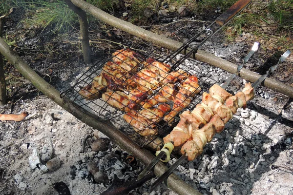 Shashlik crudo su uno spiedo — Foto Stock