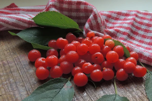 Cereza en el tablero — Foto de Stock