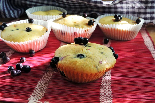 Muffin ai mirtilli e bacche fresche — Foto Stock