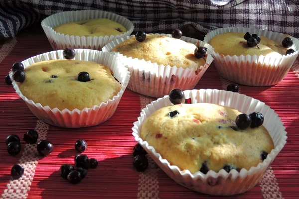 Muffin ai mirtilli con zucchero a velo e bacche fresche — Foto Stock