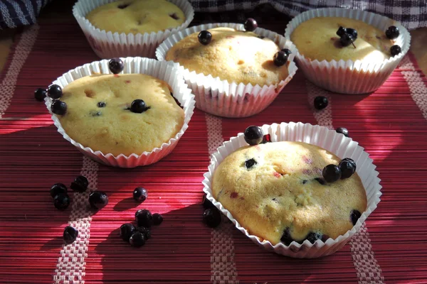 Muffins de mirtilo com açúcar em pó e bagas frescas — Fotografia de Stock