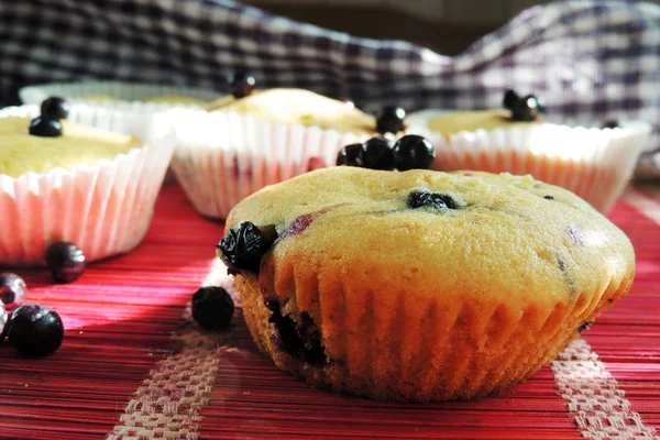 Muffin ai mirtilli con zucchero a velo e bacche fresche — Foto Stock