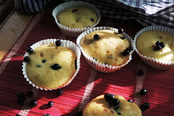 Muffin ai mirtilli con zucchero a velo e bacche fresche — Foto Stock