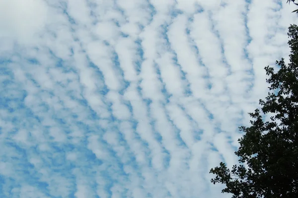 Blauer Himmel und Wolken — Stockfoto