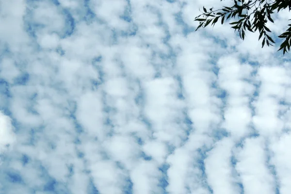 Blue sky and clouds — Stock Photo, Image