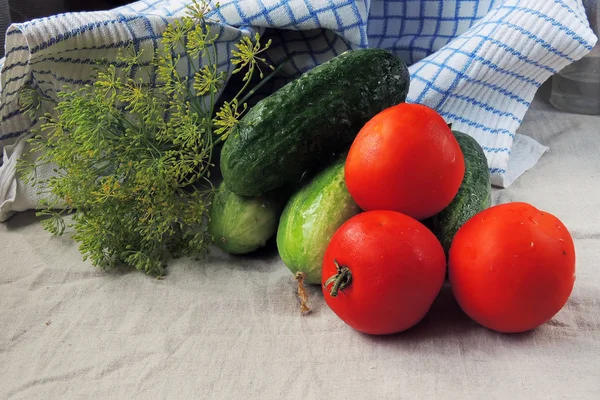 Огірок, помідор і кріп — стокове фото