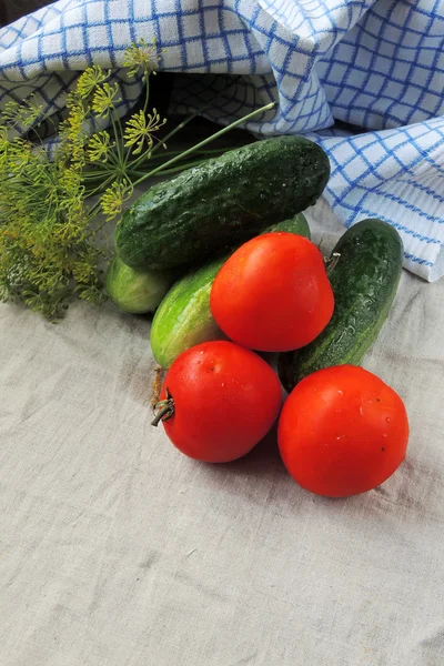 Cucumber, tomato and dill Royalty Free Stock Photos