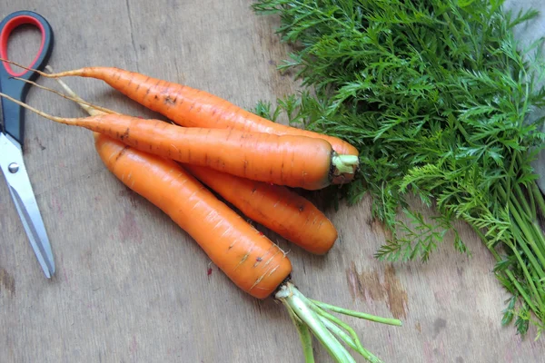 Bouquet de carottes fraîches sur fond bois rustique — Photo