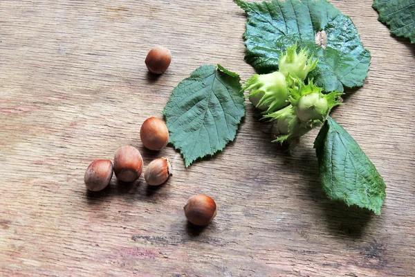 Lesní ořechy lískové izolované na dřevěné pozadí. — Stock fotografie