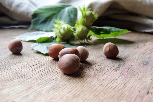 Forest noten hazelnoten geïsoleerd op houten achtergrond. — Stockfoto