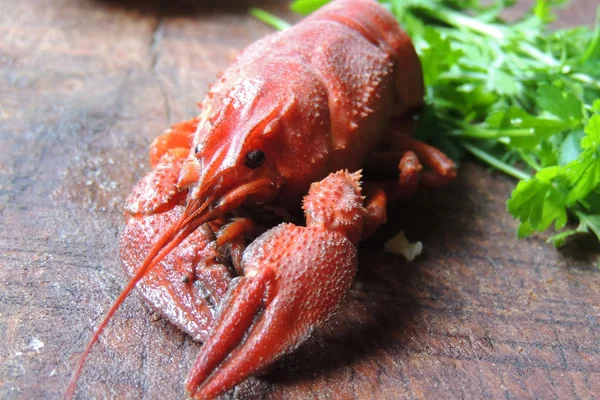 Cancer bouilli. Un homard et des légumes verts — Photo