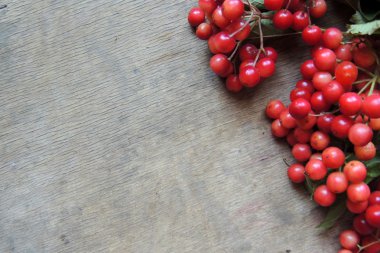 Siyah ve kırmızı Rowan