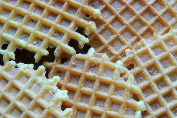 Cialde per colazione — Foto Stock