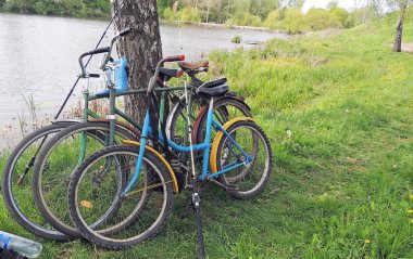 ağacın altında bisiklet vardır