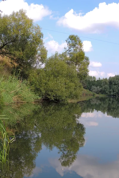 El bosque y su reflexión sobre el agua — Foto de Stock