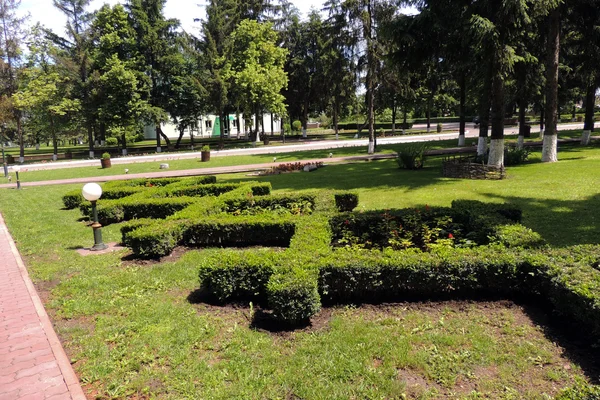 Blommor i parken — Stockfoto