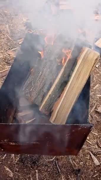 Entzündung Eines Kohlenbecken Auf Holz Brennholz — Stockvideo