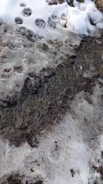 İlkbaharda kar erir.