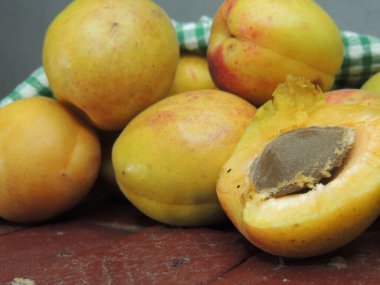 temel yağ ve taze kayısılar