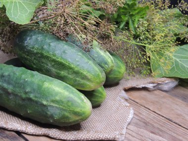 Salatalık ve dereotu mutfaktaki ahşap masada.