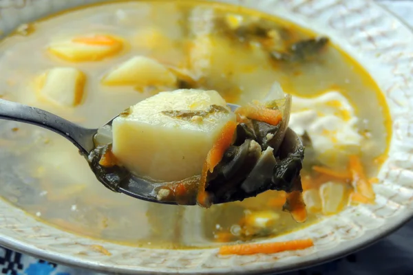 Sopa com azeda — Fotografia de Stock