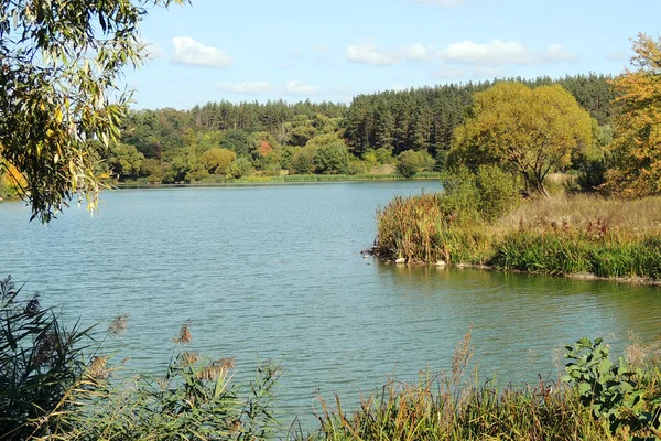 Lago Otoño. Paisaje — Foto de Stock