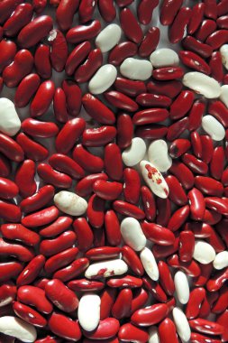 Barbunya kapatın. Arka plan