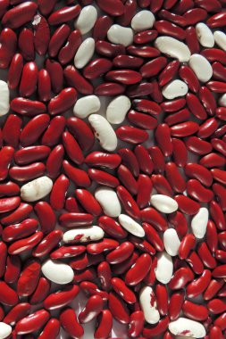 Barbunya kapatın. Arka plan