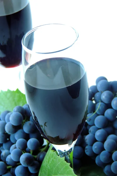 Beyaz arka plan üzerinde üzüm şarap — Stok fotoğraf