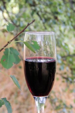 Şarap cam doğa