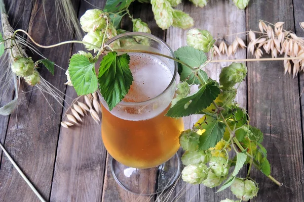 Bierglas mit Hopfen und Gerste — Stockfoto