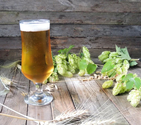 Bierglas mit Hopfen und Gerste — Stockfoto