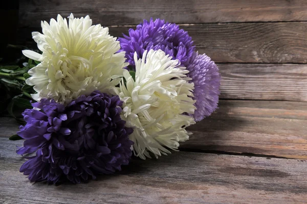 Beautiful purple chrysanthemums on a gray wooden background