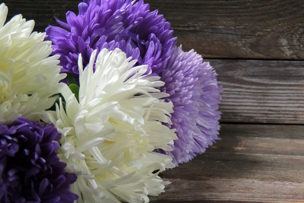 Beautiful purple chrysanthemums on a gray wooden background