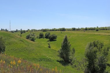 Alanı ağaçlarda. Arka plan